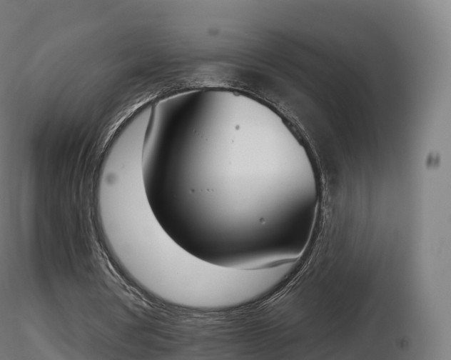 X0000116830386200912241231