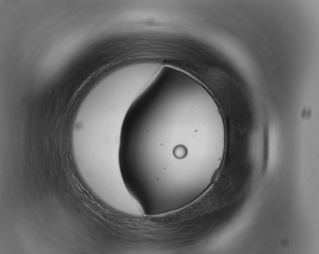 X0000116830387200912241231