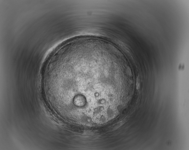 X0000116830388200912241231