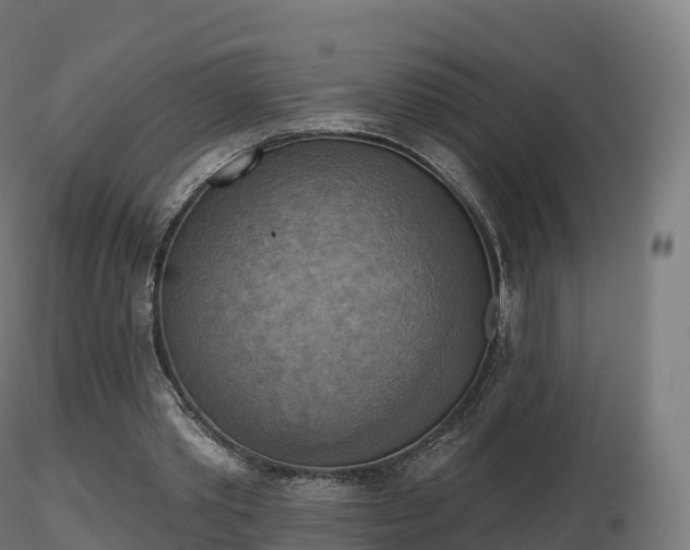 X0000116830389200912241231
