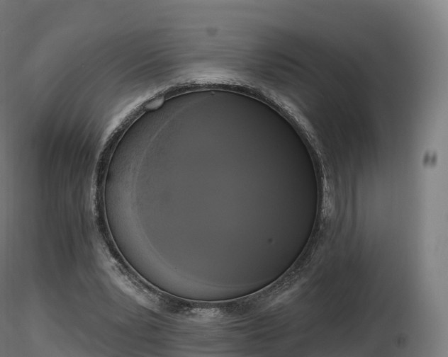 X0000116830391200912241231