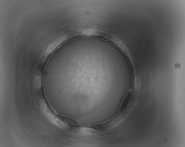 X0000116830393200912241231