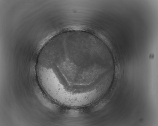 X0000116830394200912241231
