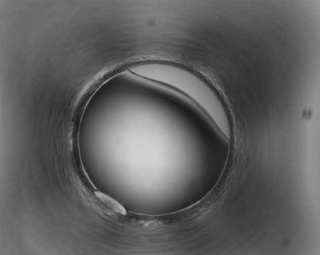 X0000116830395200912241231