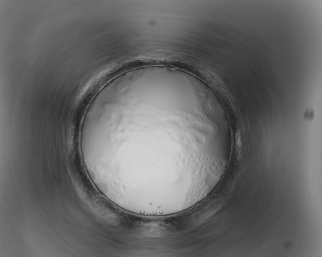 X0000116830396200912241231