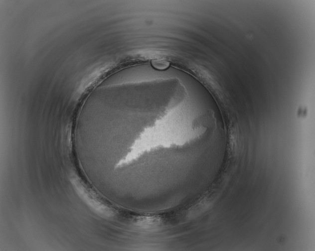 X0000116830398200912241231