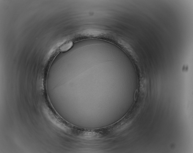 X0000116830399200912241231