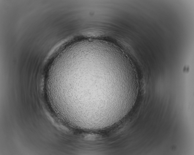 X0000116830400200912241231