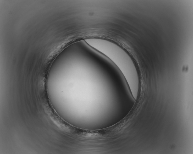 X0000116830401200912241231