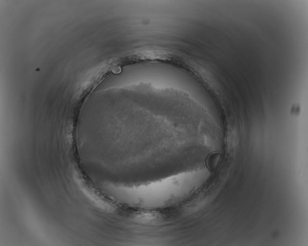 X0000116830402200912241231