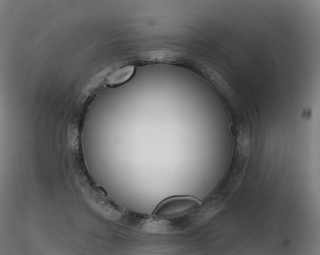 X0000116830403200912241231