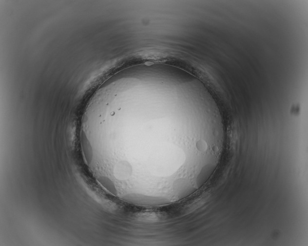 X0000116830404200912241231