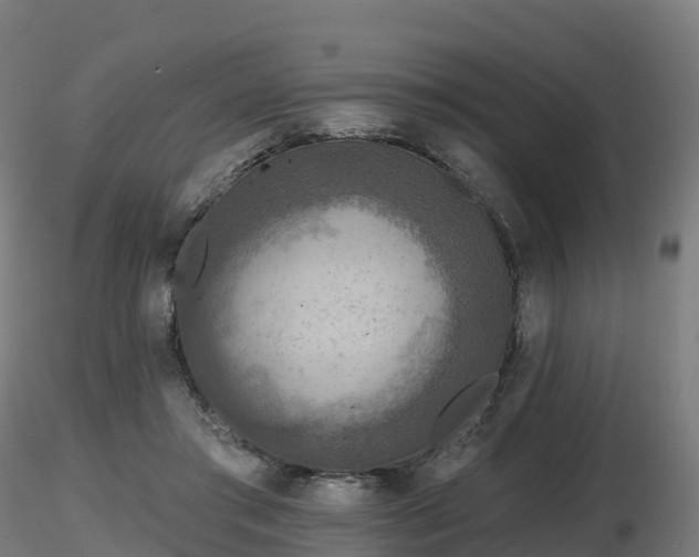 X0000116830405200912241231