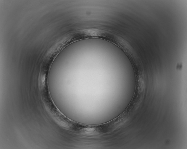 X0000116830406200912241231