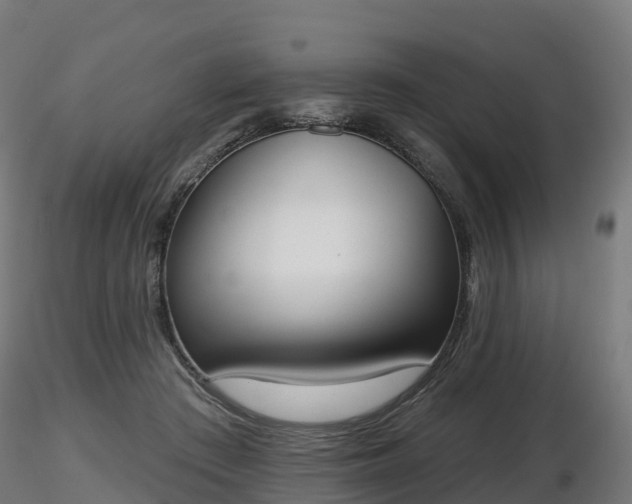 X0000116830409200912241231