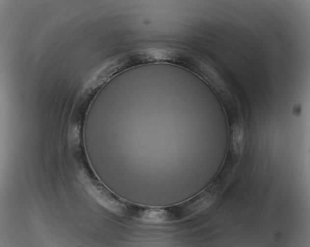 X0000116830410200912241231
