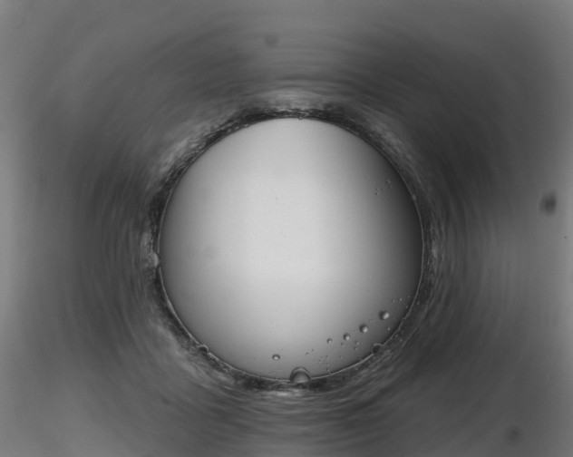 X0000116830411200912241231