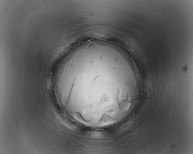 X0000116830412200912241231