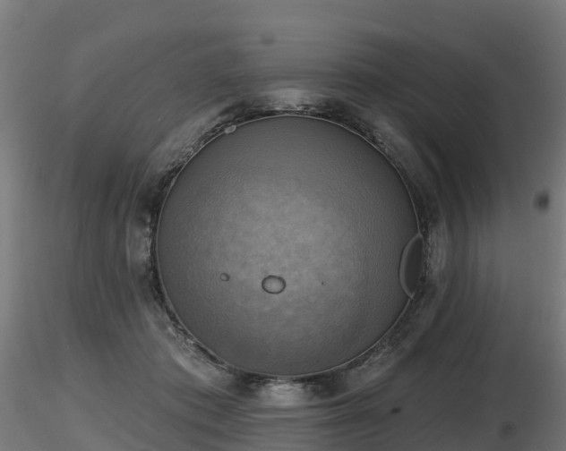 X0000116830413200912241231