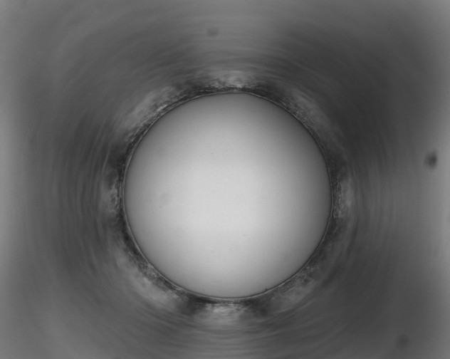 X0000116830414200912241231