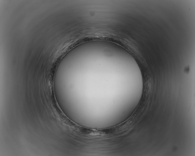 X0000116830415200912241231