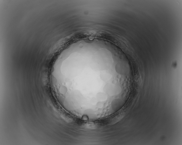 X0000116830416200912241231