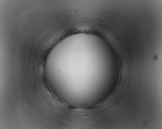 X0000116830417200912241231