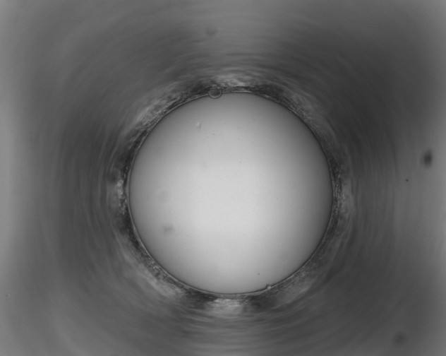 X0000116830418200912241231
