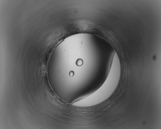 X0000116830419200912241231