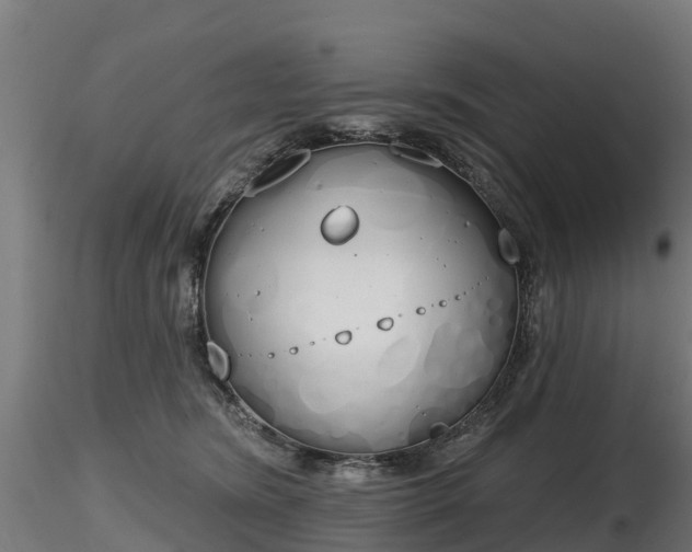 X0000116830420200912241231