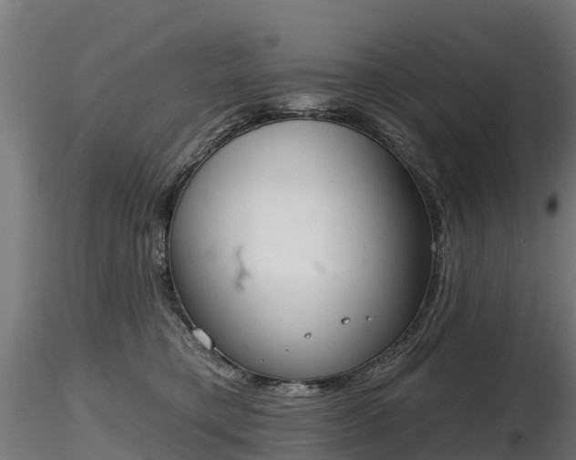 X0000116830421200912241231