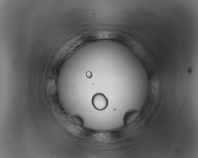 X0000116830422200912241231