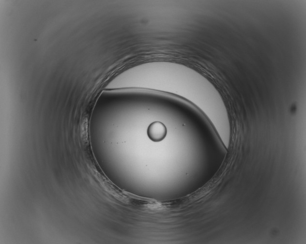 X0000116830425200912241230