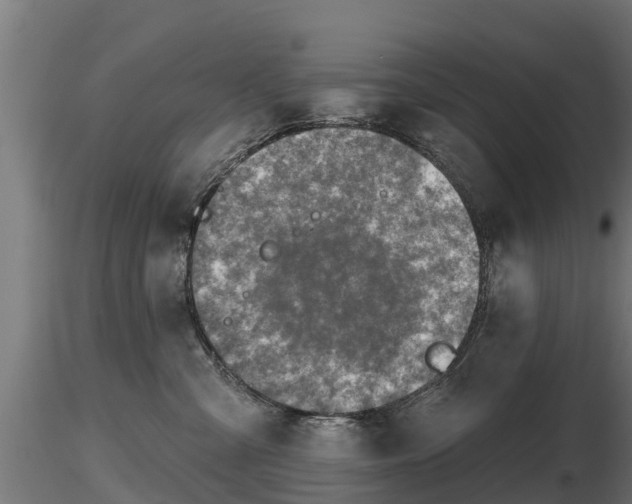 X0000116830427200912241230