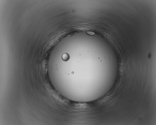 X0000116830428200912241230