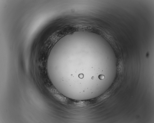 X0000116830430200912241230