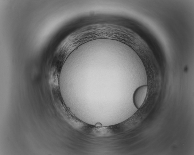 X0000116830431200912241230