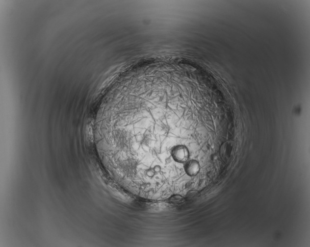 X0000116830432200912241230