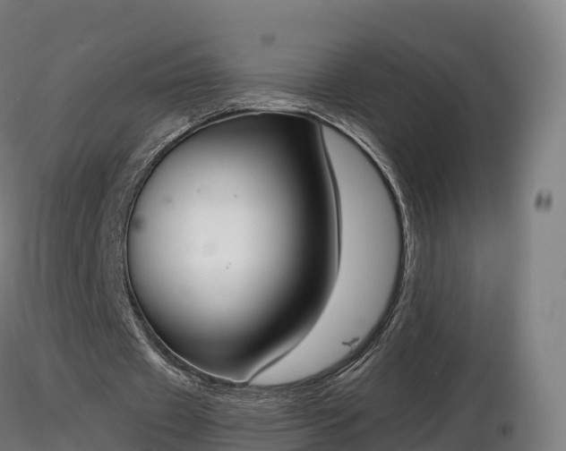 X0000116830433200912241230