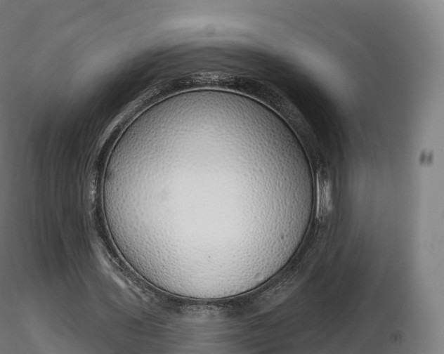 X0000116830435200912241230