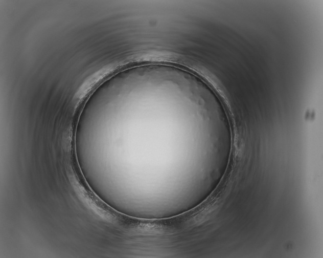 X0000116830437200912241230
