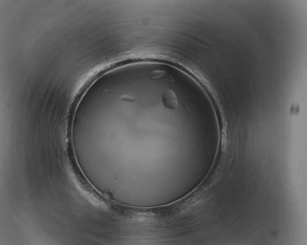X0000116830438200912241230
