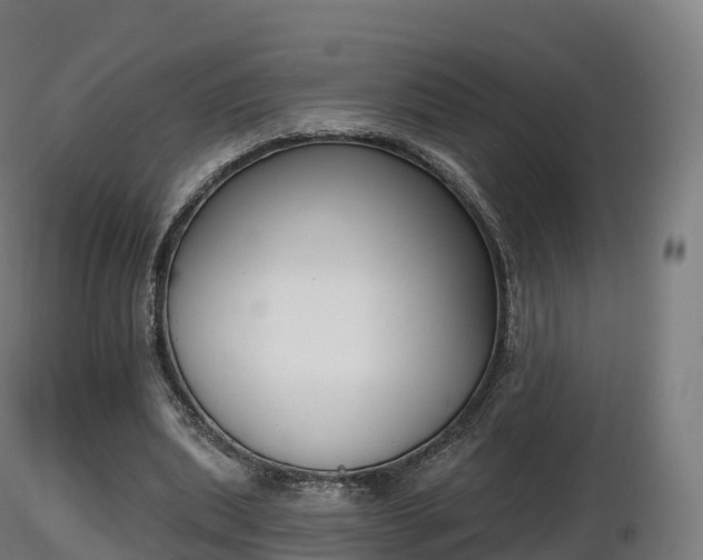 X0000116830439200912241230