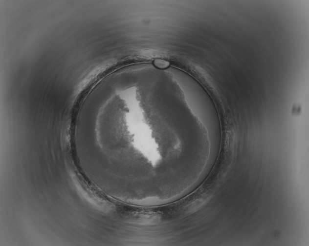 X0000116830443200912241230