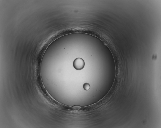 X0000116830444200912241230
