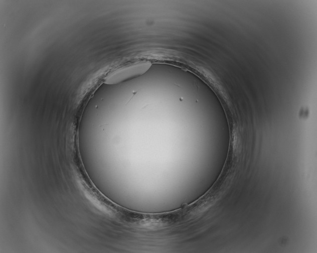 X0000116830445200912241230