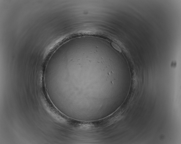 X0000116830446200912241230