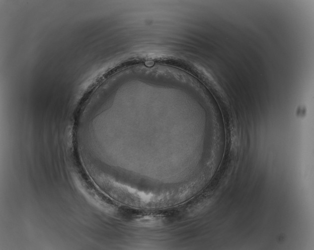 X0000116830447200912241230
