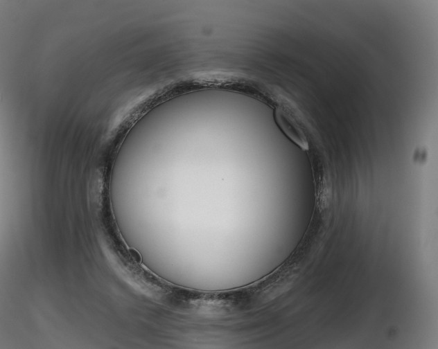X0000116830448200912241230