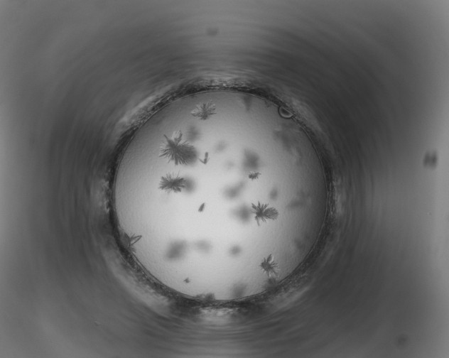 X0000116830450200912241230
